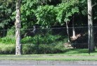 Duck Creekmesh-fencing-10.jpg; ?>